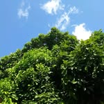 Harold Ramey - @ramey76 - Instagram