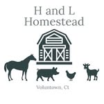 Harold Ramsay Jr - @handlhomestead - Instagram