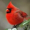 Harold Ramsay Pérez - @user925923801 - TikTok