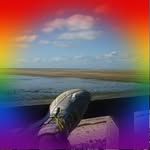 Harold Rees - @harold.rees.16 - Instagram
