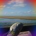 Harold Rees - Facebook