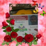 Harold Renard - Facebook