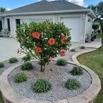Harold Ritchie - @harold173453 - Instagram
