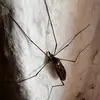 Harold Ritter - @ihor.moskitenko - TikTok