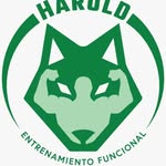 Coach Harold Rock - @coachharoldgb - Instagram