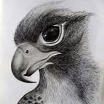 HAROLD-ROCK - @rock_harold - Instagram