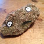 My Pet Rock Harold - @harold_the_rock__ - Instagram