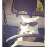 Harold Romano - @smoking_n_driving - Instagram