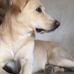 Harold Edward Roper - Facebook