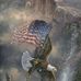 Harold Roper - Facebook