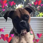 Harold Rowe - @hrowe7864 - Instagram