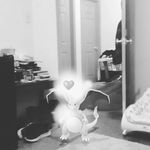 Harold Rudder - @rudderharold - Instagram