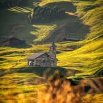 Harold Sapp - @haroldsapp6 - Instagram