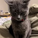 harolddisapproves - @harolddisapproves - Instagram