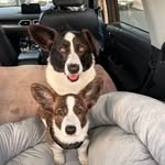 Vaz-fuller - @sir_harold_sassy_zeva - Instagram