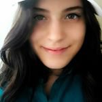 Harold Sauer - @haroldsauer5860 - Instagram