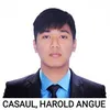 Harold Casaul - @haroldcasaul55 - TikTok
