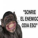 Harold Saul Belteton Aldana - @haroldsaulito - Instagram