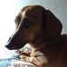 Harold Sharp - Facebook