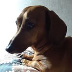 Harold Sharp - @harold.sharp.967 - Instagram