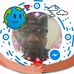 Harold Sheffield - Facebook