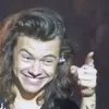 Harry’s side peice - @haroldswhore - TikTok