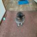 Harold Simons - Facebook