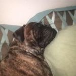 Harold Slater - @slaterharold - Instagram