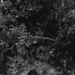 Harold Solano - Facebook