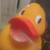 haroldspaday - @haroldspaday - TikTok