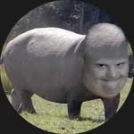 Harold Steiner - @happyhippo919 - Instagram