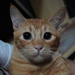 Harold Stephen Sierra - @harudragneel08 - Instagram