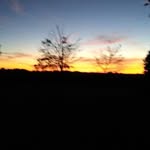 Harold Stiefel - @stiefelharold - Instagram