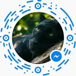 Harold - @haroldstouffer1947 - Instagram