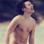 @harold._.styles - Instagram
