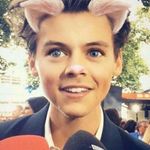 Harold Styles - @harryxsstyles - Instagram