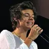 Harry Styles - @haroldstyles.28 - TikTok