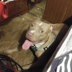 Harold Sylvester - @haroldsylvester33 - Instagram