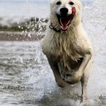 Harold Tabbert - @harold.tabbert - Instagram