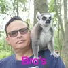 Harold Timmermans - @haroldtimmermans - TikTok