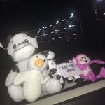 harold todd - @haroldthecow69 - Instagram