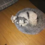 Harold Tyler - @harold.tyler.142687 - Instagram