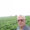 Harold Ulmer - @harold.ulmer - TikTok