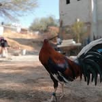 Harold Vázquez - @haroldvazquez17 - Instagram