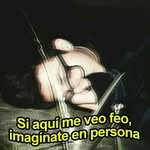 Harold Vidal - @harold_vd - Instagram