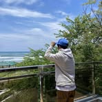Harold Vidal - Facebook