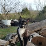 Harold Wadley - @harold.wadley - Instagram