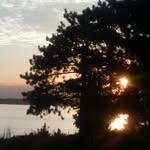 Harold Wagner - @hpwags2 - Instagram