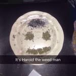 Random Stoner - @harold_the_weed_man - Instagram