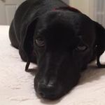 Harold Weeks - @weeksharold - Instagram